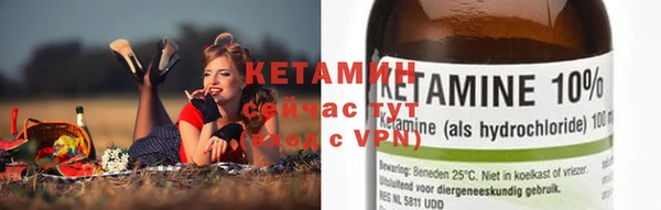 крисы Алексин