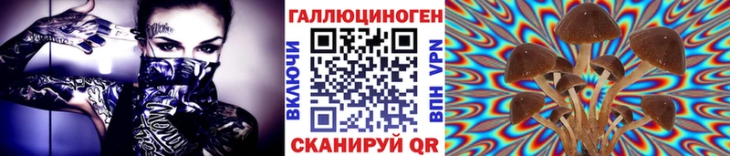 Галлюциногенные грибы Psilocybe  Купить закладки  Северо-Курильск 